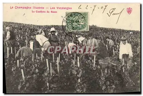 Cartes postales Folklore Vigne Vendanges Champagne La cueillette du raisin TOP