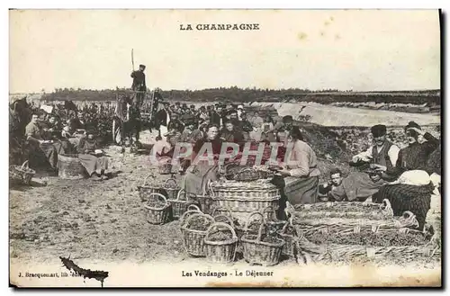 Cartes postales Folklore Vigne Vendanges Champagne Le dejeuner