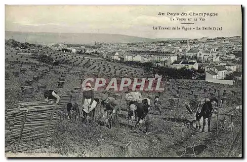 Ansichtskarte AK Folklore Vigne Vendanges Champagne Le travail de la vigne La taille TOP