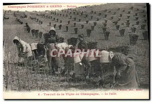 Ansichtskarte AK Folklore Vigne Vendanges Champagne �Pommery & Greno Reims Travail de la vigne La taille TOP