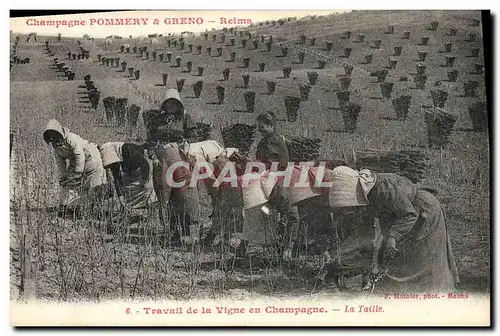 Cartes postales Folklore Vigne Vendanges Champagne �Pommery & Greno Reims Travail de la vigne La taille TOP