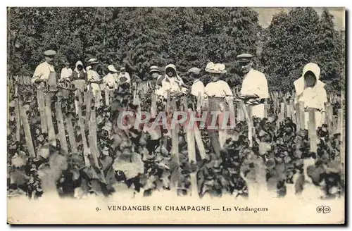 Cartes postales Folklore Vigne Vendanges Champagne Les vendangeurs TOP