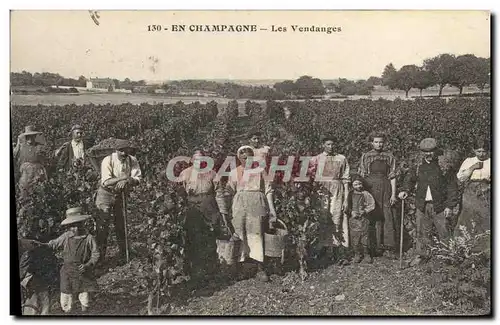 Ansichtskarte AK Folklore Vigne Vendanges Champagne TOP