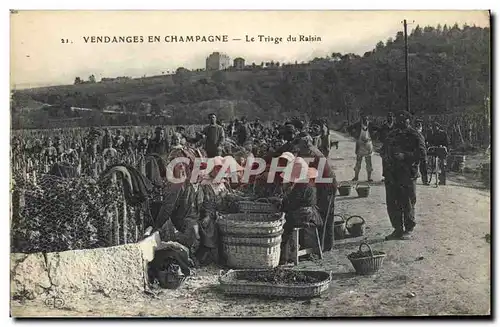 Cartes postales Folklore Vigne Vendanges Champagne Le tirage du raisin TOP