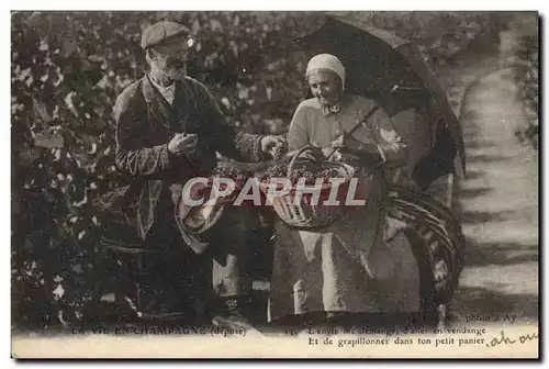 Cartes postales Folklore Vigne Vendanges Champagne Vieux couple