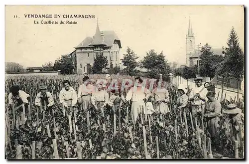 Ansichtskarte AK Folklore Vigne Vendanges Champagne La cueillette du raisin