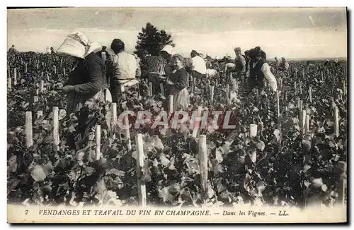 Cartes postales Folklore Vigne Vendanges Champagne Dans les vignes TOP