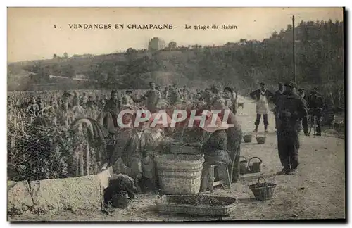 Cartes postales Folklore Vigne Vendanges Champagne Le triage du raisin TOP