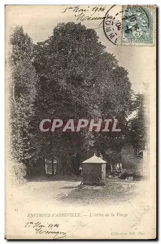 Ansichtskarte AK Arbre Environs d&#39Abbeville L&#39arbre de la Vierge