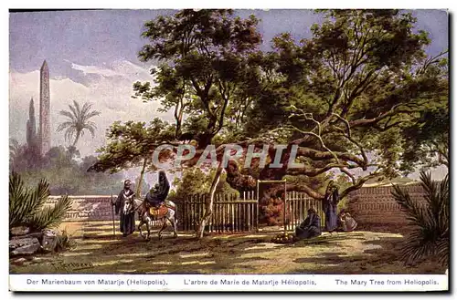 Cartes postales Arbre L&#39arbre de Marie de Matarije Heliopolis