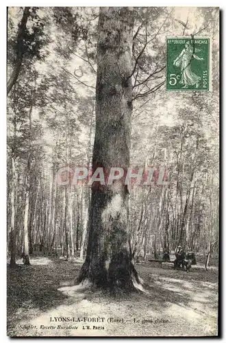 Cartes postales Arbre Lyons la Foret Le gros chene