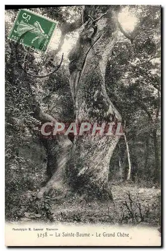 Ansichtskarte AK Arbre La Sainte Baume Le grand chene