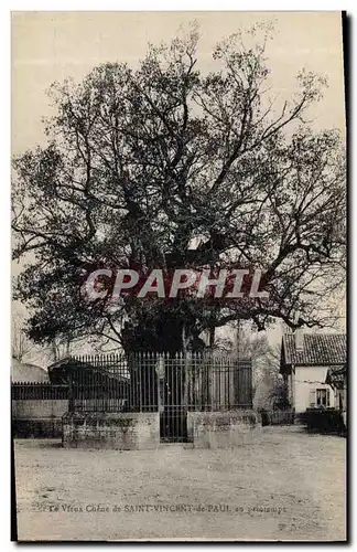 Ansichtskarte AK Arbre Le vieux chene de Saint Vincent de Paul au printemps