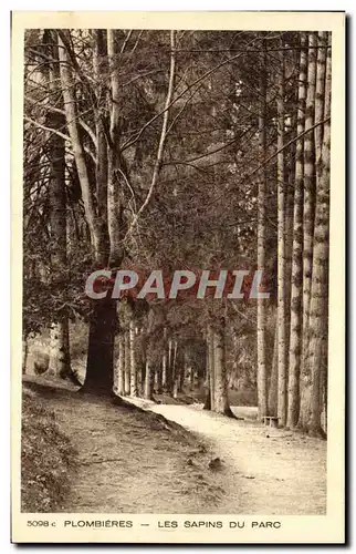 Ansichtskarte AK Arbre Plombieres Les sapins du parc