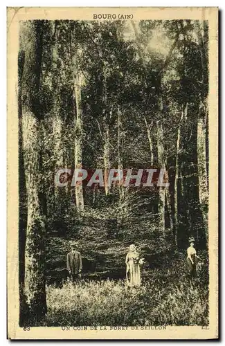 Cartes postales Arbre Un coin de la foret de Seillon Bourg Ain