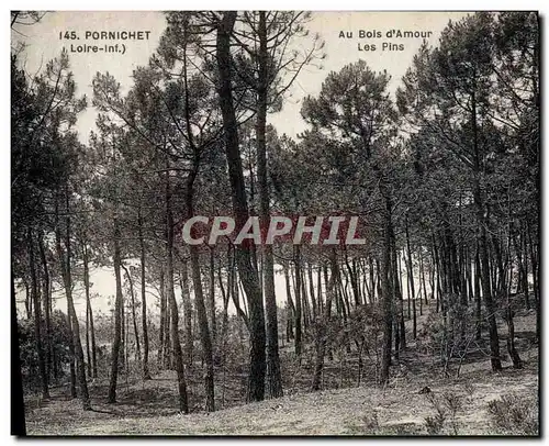 Cartes postales Arbre Pornichet Au bois d&#39amour Les pins