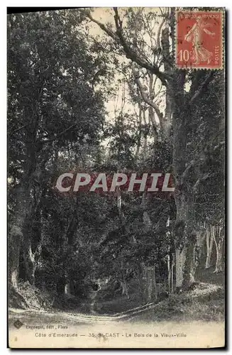 Cartes postales Arbre St Cast Le bois de la Vieux ville