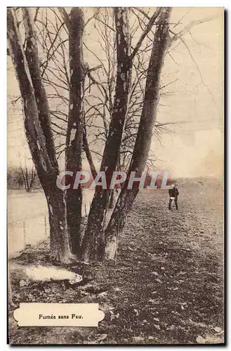 Cartes postales Arbre Fumee sans feu