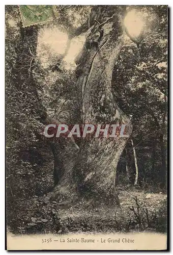 Ansichtskarte AK Arbre La Sainte Baume Le grand chene