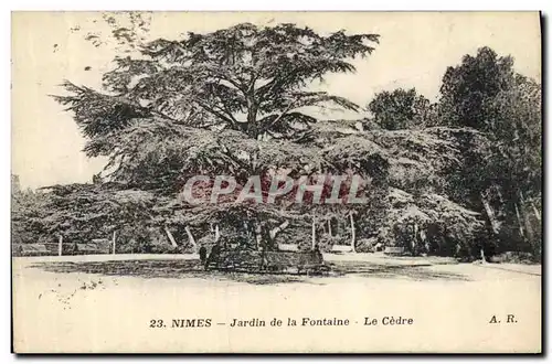 Cartes postales Arbre Nimes Jardin de la fontaine Le cedre