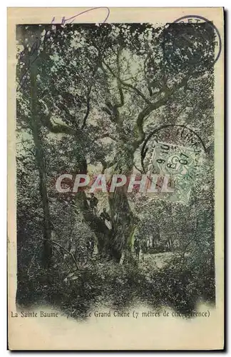 Cartes postales Arbre La Sainte Baume Le grand chene