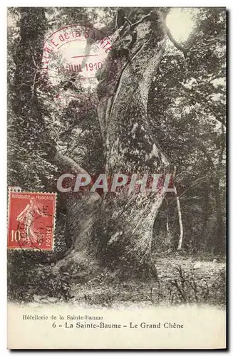 Cartes postales Arbre La Sainte Baume Le grand chene