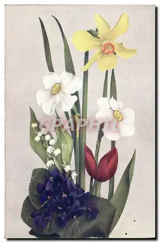 Cartes postales Fantaisie Fleurs