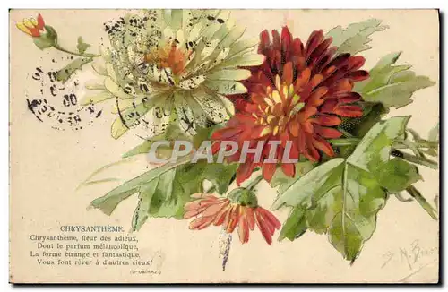 Cartes postales Fantaisie Fleurs Chrysantheme