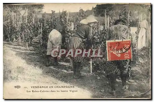 Ansichtskarte AK Folklore Vin Vignobles Champagne Vendange en Champagne Les Robes Culottes dans les Hautes Vignes