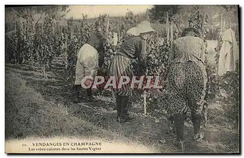 Ansichtskarte AK Folklore Vin Vignobles Champagne Vendange en Champagne Les Robes Culottes dans les Hautes Vignes