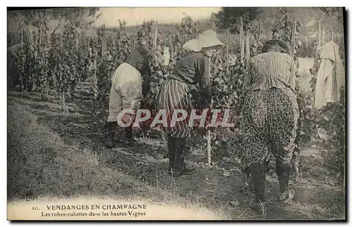 Cartes postales Folklore Vin Vignobles Champagne Vendange en Champagne Les Robes Culottes dans les Hautes Vignes