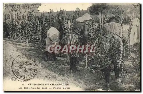 Cartes postales Folklore Vin Vignobles Champagne Vendange en Champagne Les Robes Culottes dans les Hautes Vignes