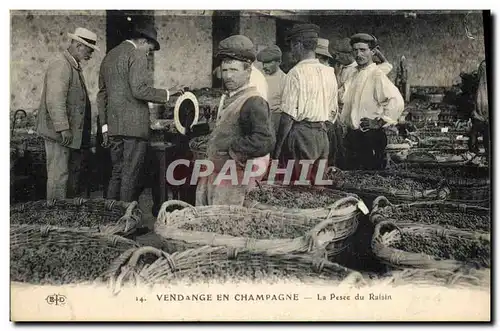Cartes postales Folklore Vin Vignobles Champagne Vendange La pesee du raisin TOP