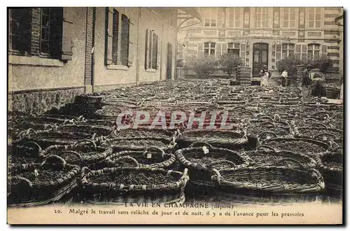 Cartes postales Folklore Vin Vignobles Champagne La vie en Champagne