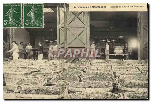 Cartes postales Folklore Vin Vignobles Champagne Vendanges en Champagne Arrivee du raisin aux pressoirs