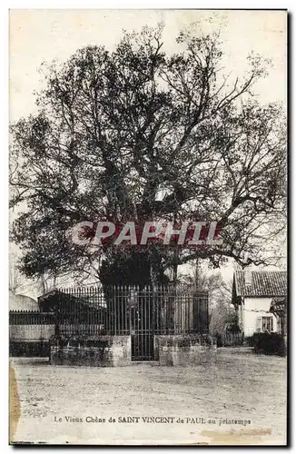 Ansichtskarte AK Arbre Le vieux chene de Saint Vincent de Paul au printemps