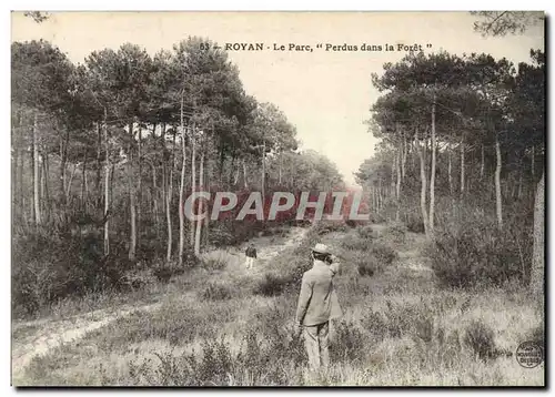 Ansichtskarte AK Arbre Royan Le parc Perdus dans la foret