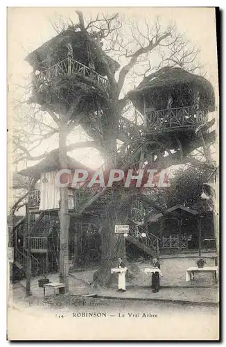 Ansichtskarte AK Arbre Robinson Le vrai arbre