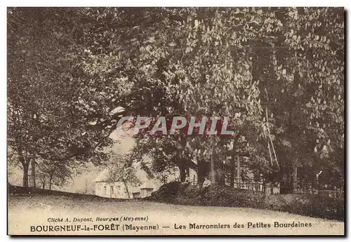 Ansichtskarte AK Arbre Bourgneuf la Foret Mayenne Les marronniers des Petites Bourdaines