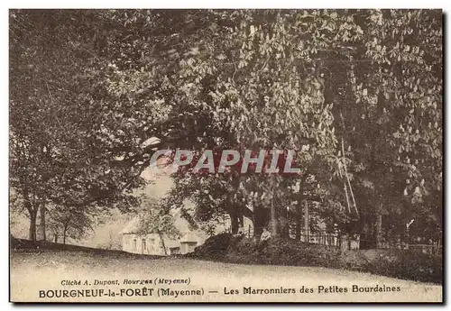 Cartes postales Arbre Bourgneuf la Foret Mayenne Les marronniers des Petites Bourdaines