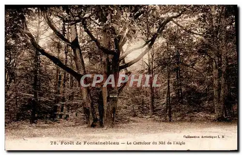 Ansichtskarte AK Arbre Foret de Fontainebleau Le carrefour du nid de l&#39aigle