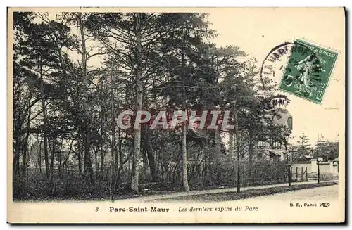 Ansichtskarte AK Arbre Parc Saint Maur Les derniers sapins du parc