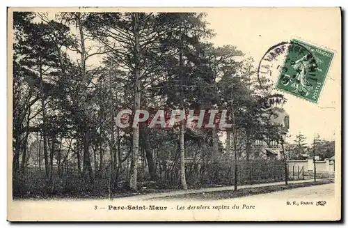 Cartes postales Arbre Parc Saint Maur Les derniers sapins du parc
