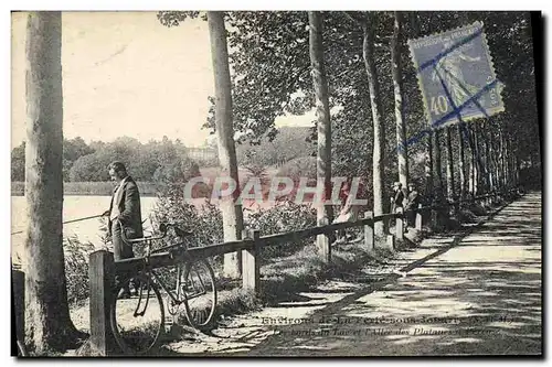 Cartes postales Arbre Environs de la Ferte sous Jouarre Les bords du lac et l&#39allee des platanes Velo Cycle