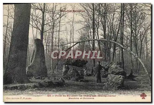 Cartes postales Arbre Foret de Meudon Le chene des missionnaires Menhirs et dolmens