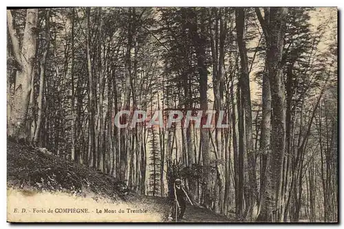 Cartes postales Arbre Foret de Compiegne Le Mont du Tremble