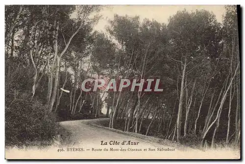 Cartes postales Arbre Hyeres Route du Mont des Oiseaux et San Salvadour