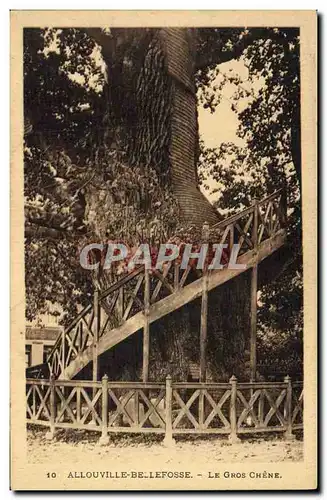 Ansichtskarte AK Arbre Abbaye de Bellefosse Le gros chene