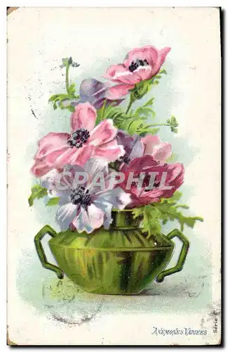 Cartes postales Fantaisie Fleurs Anemones variees