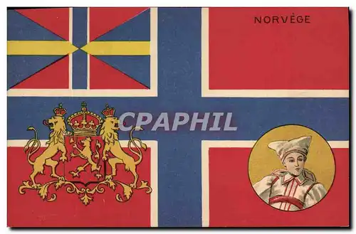 Ansichtskarte AK Drapeau Femme Norvege Norway Lion